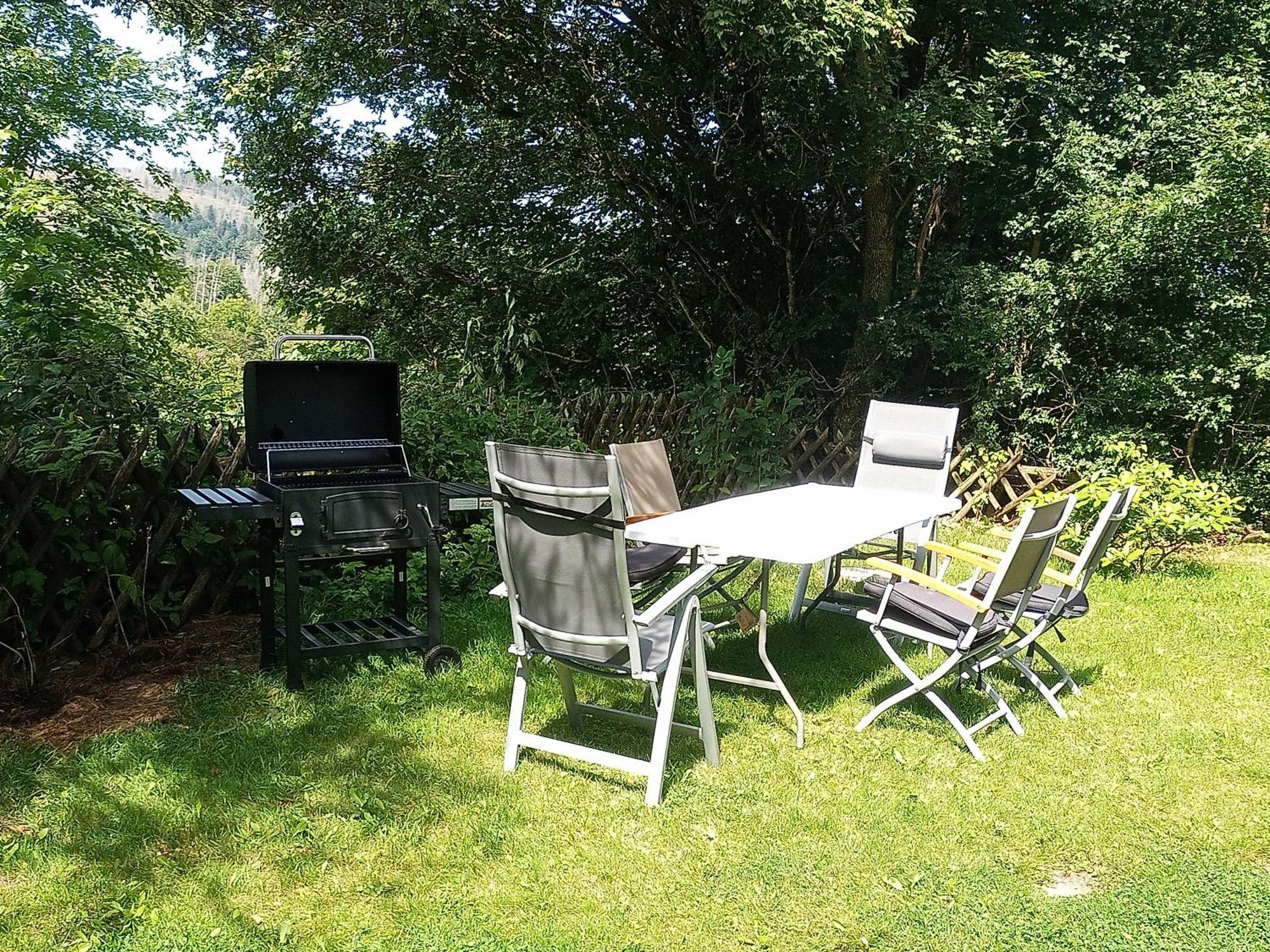 Ferienwohnung Endora Im Harzer Stil, Handgefertigte Moebel - Wlan-Garage Hohegeiß Esterno foto